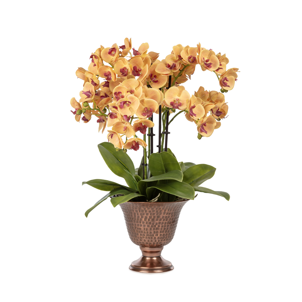 Metal Saksıda Islak Dokulu Sarı Orkide Aranjman (50 CM) Metal Saksıda Islak Dokulu Sarı Orkide Aranjman (50 CM)