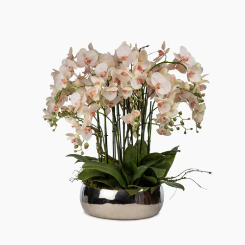 Metal Saksıda Islak Dokulu Pembe Orkide Aranjman (80 CM)