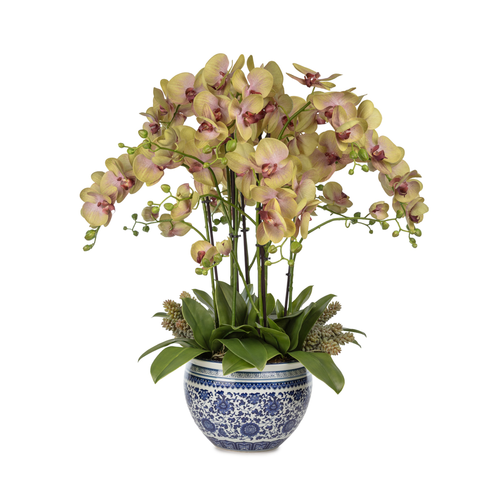 Bleu Blanc Vazo Islak Dokulu Yeşil Orkide Aranjman (70 CM) Bleu Blanc Vazo Islak Dokulu Yeşil Orkide Aranjman (70 CM)