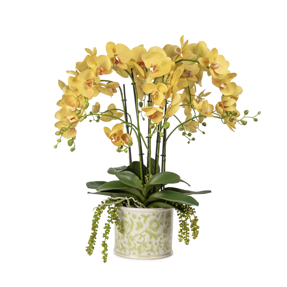 Bleu Blanc Vazo Islak Dokulu Sarı Orkide Aranjman (70 CM) Bleu Blanc Vazo Islak Dokulu Sarı Orkide Aranjman (70 CM)