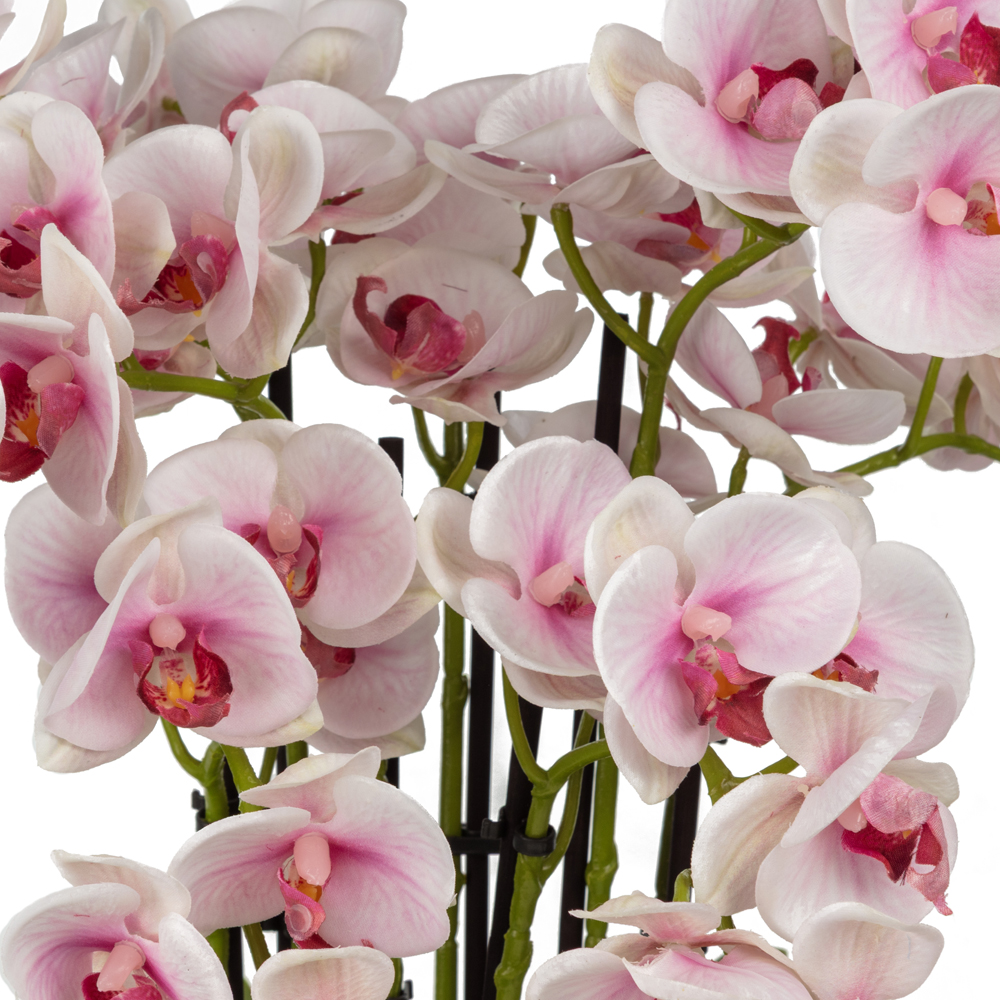 Bleu Blanc Vazo Islak Dokulu Pembe Orkide Aranjman (50 CM) Bleu Blanc Vazo Islak Dokulu Pembe Orkide Aranjman (50 CM) - Görsel 2