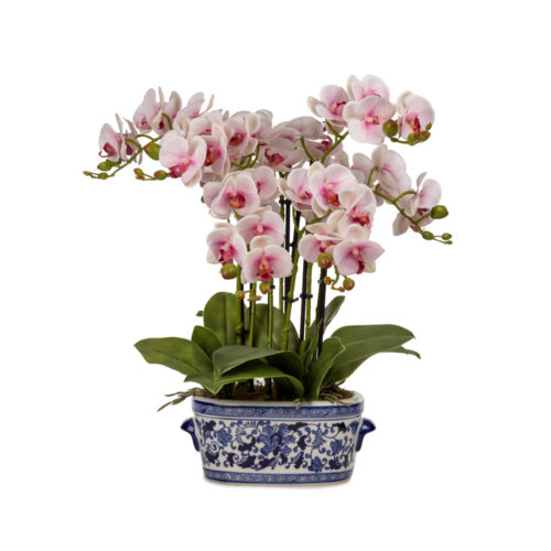 Bleu Blanc Vazo Islak Dokulu Pembe Orkide Aranjman (50 CM)