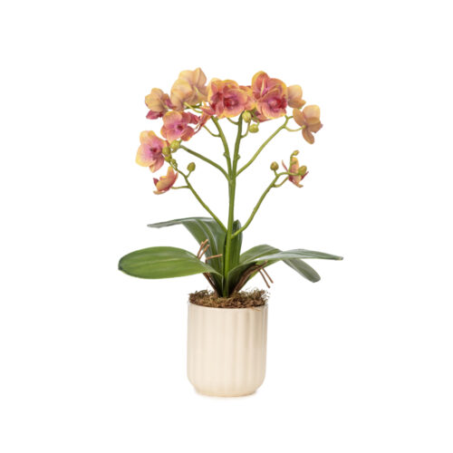 Seramik Vazo Islak Dokulu Coral Orkide Aranjman (35 CM)