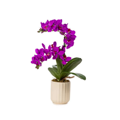 Seramik Vazo Islak Dokulu Fusya Orkide Aranjman (43 CM)