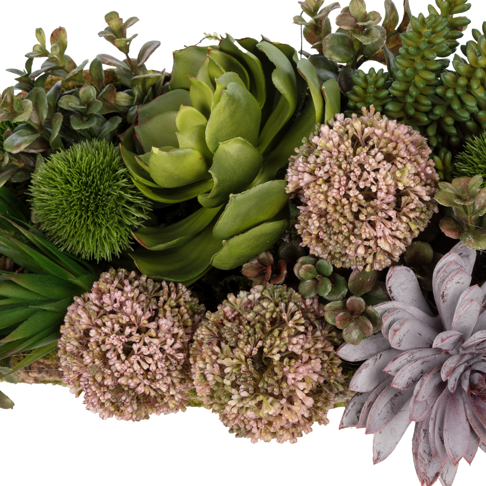 Natürel Ağaç Kabuğunda Sukkulent Aranjman (80 CM) Natürel Ağaç Kabuğunda Sukkulent Aranjman (80 CM) - Görsel 2