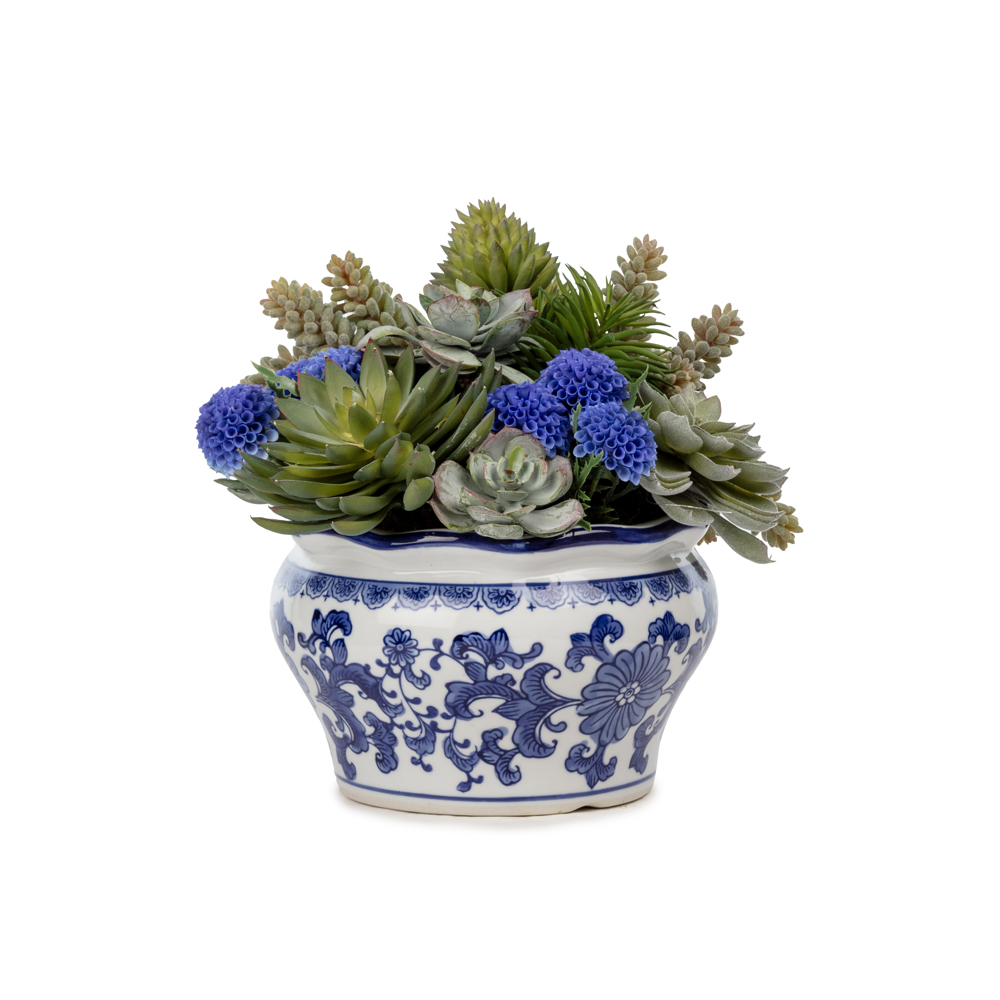 Bleu Blanc Vazo Sukkulent Aranjman (24 CM) Bleu Blanc Vazo Sukkulent Aranjman (24 CM)