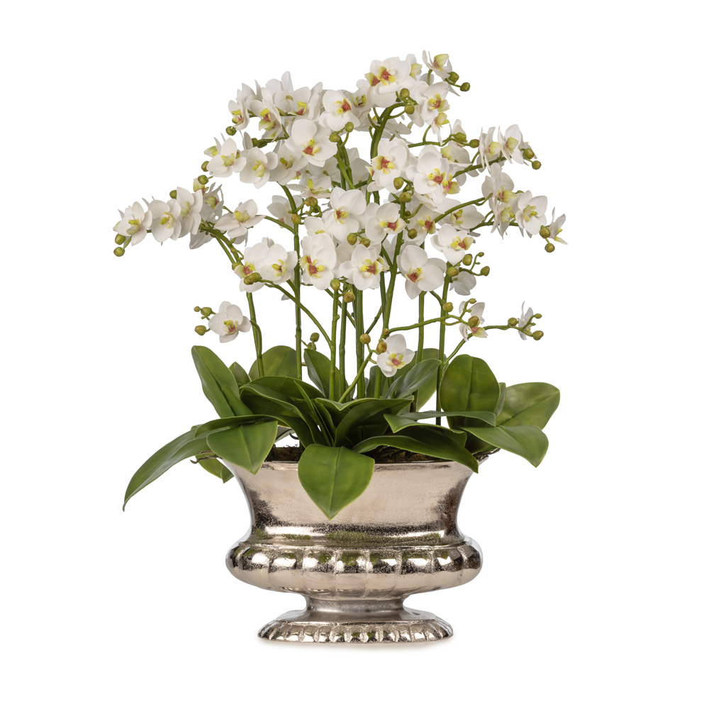 Metal Vazoda Çıtır Orkide Aranjman (60 CM) Metal Vazoda Çıtır Orkide Aranjman (60 CM)