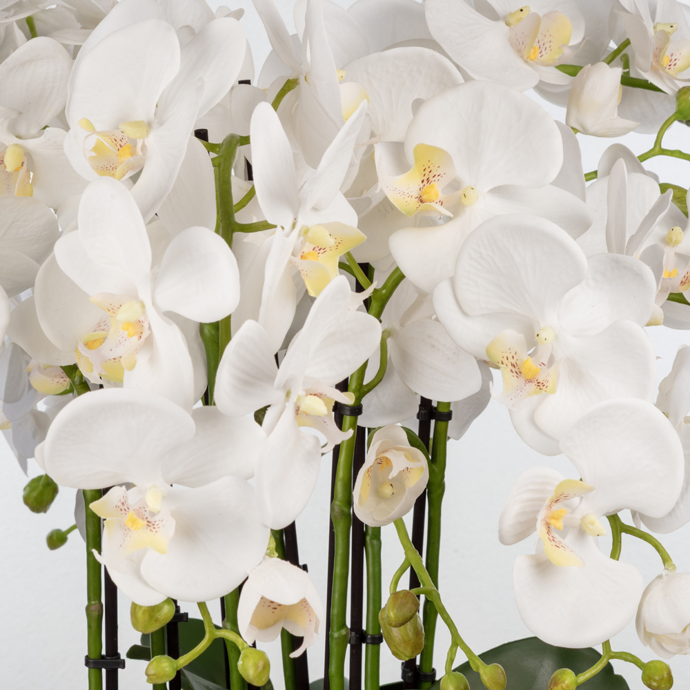 Bleu Blanc Vazo Islak Dokulu Orkide Aranjman (64 CM) Bleu Blanc Vazo Islak Dokulu Orkide Aranjman (64 CM) - Görsel 2