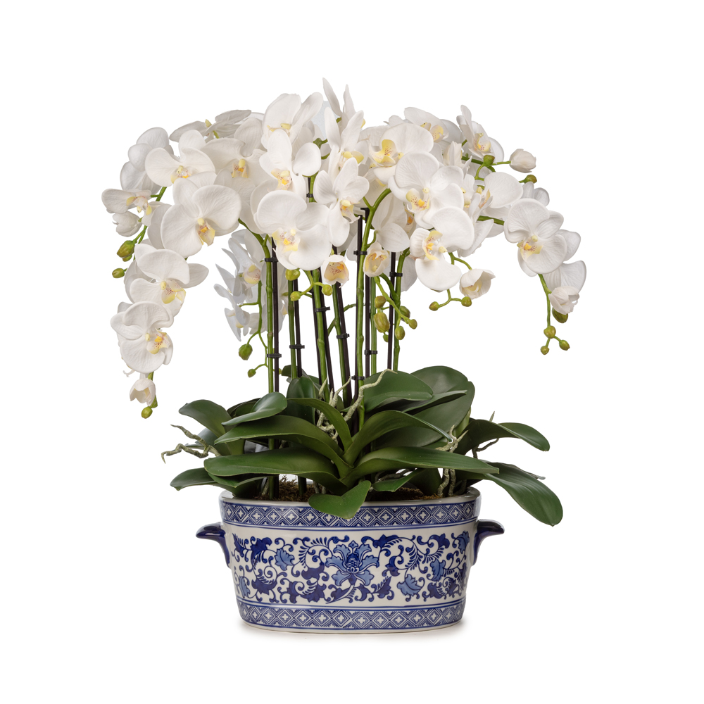 Bleu Blanc Vazo Islak Dokulu Orkide Aranjman (64 CM) Bleu Blanc Vazo Islak Dokulu Orkide Aranjman (64 CM)