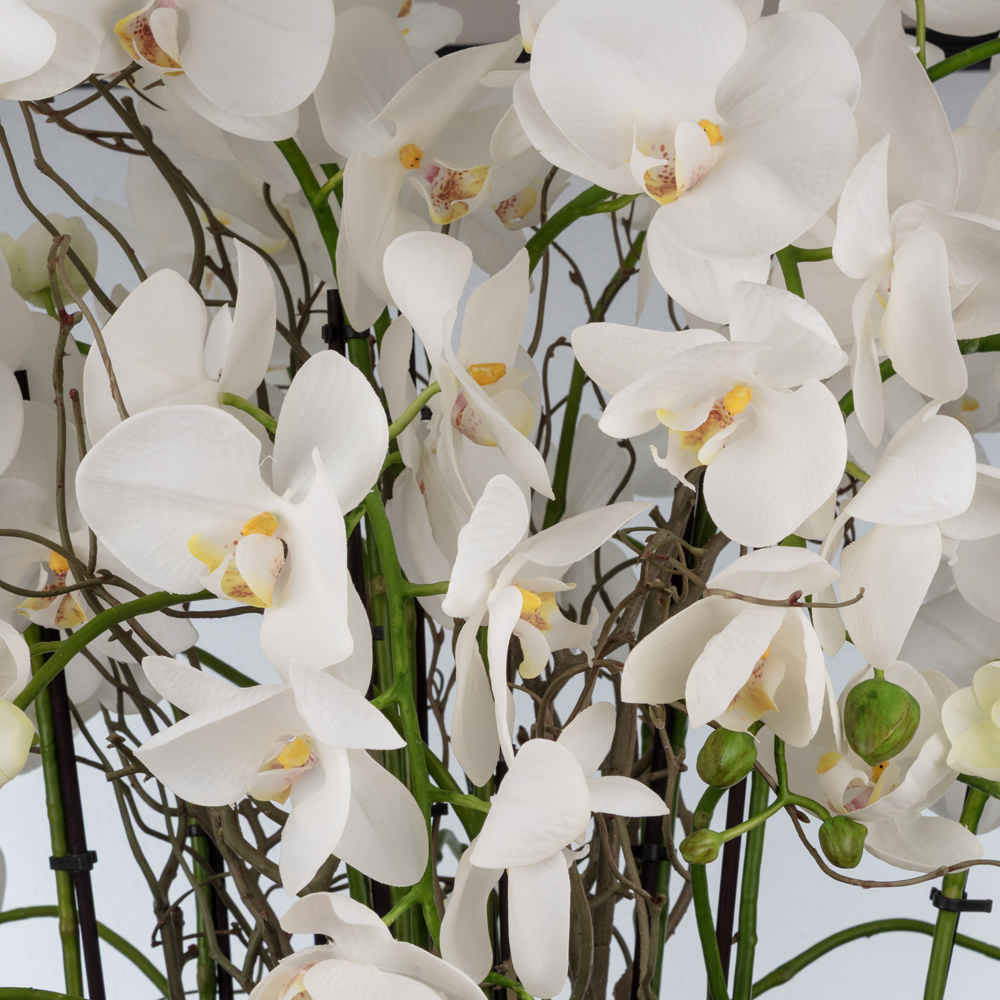 Metal Kupada Islak Dokulu Orkide Aranjman (110 CM) Metal Kupada Islak Dokulu Orkide Aranjman (110 CM) - Görsel 2