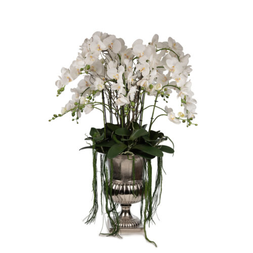 Metal Kupada Islak Dokulu Orkide Aranjman (110 CM)
