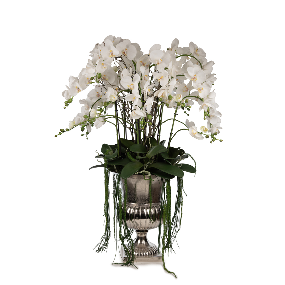 Metal Kupada Islak Dokulu Orkide Aranjman (110 CM) Metal Kupada Islak Dokulu Orkide Aranjman (110 CM)