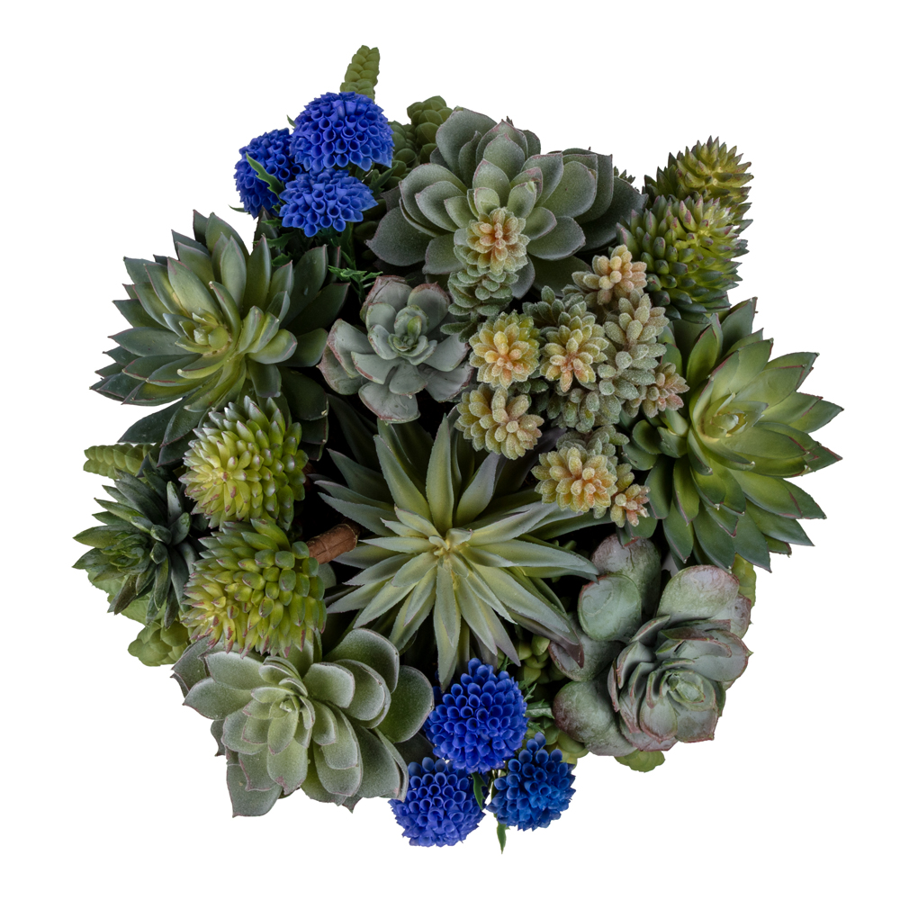 Bleu Blanc Vazo Karışık Sukkulent Aranjman ( 34 CM) Bleu Blanc Vazo Karışık Sukkulent Aranjman ( 34 CM) - Görsel 2