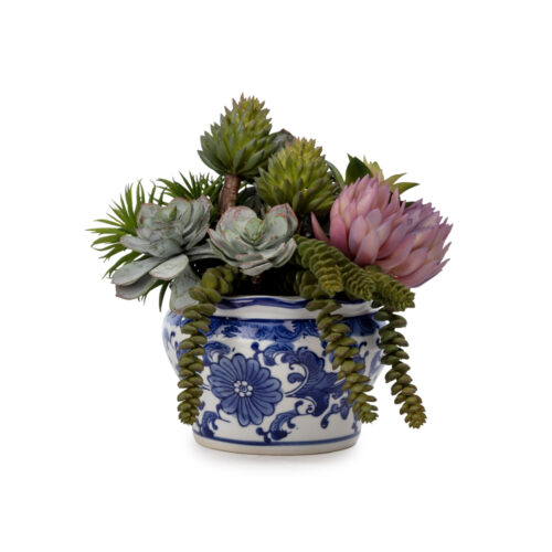 Bleu Blanc Vazo Karışık Sukkulent Aranjman ( 34 CM)