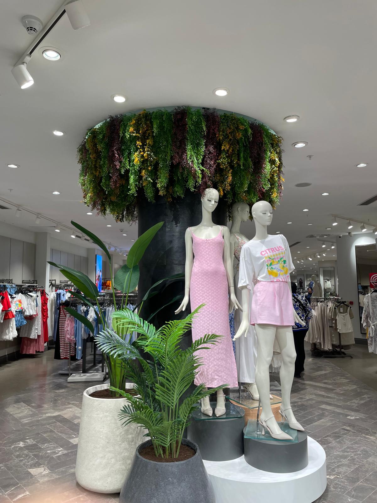 Tavana Sarmaşık Uygulamaları