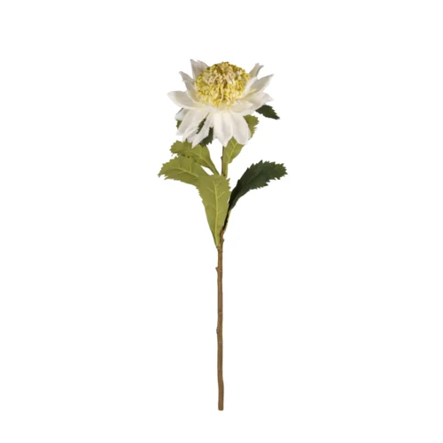 Yapay King Protea (86 CM)