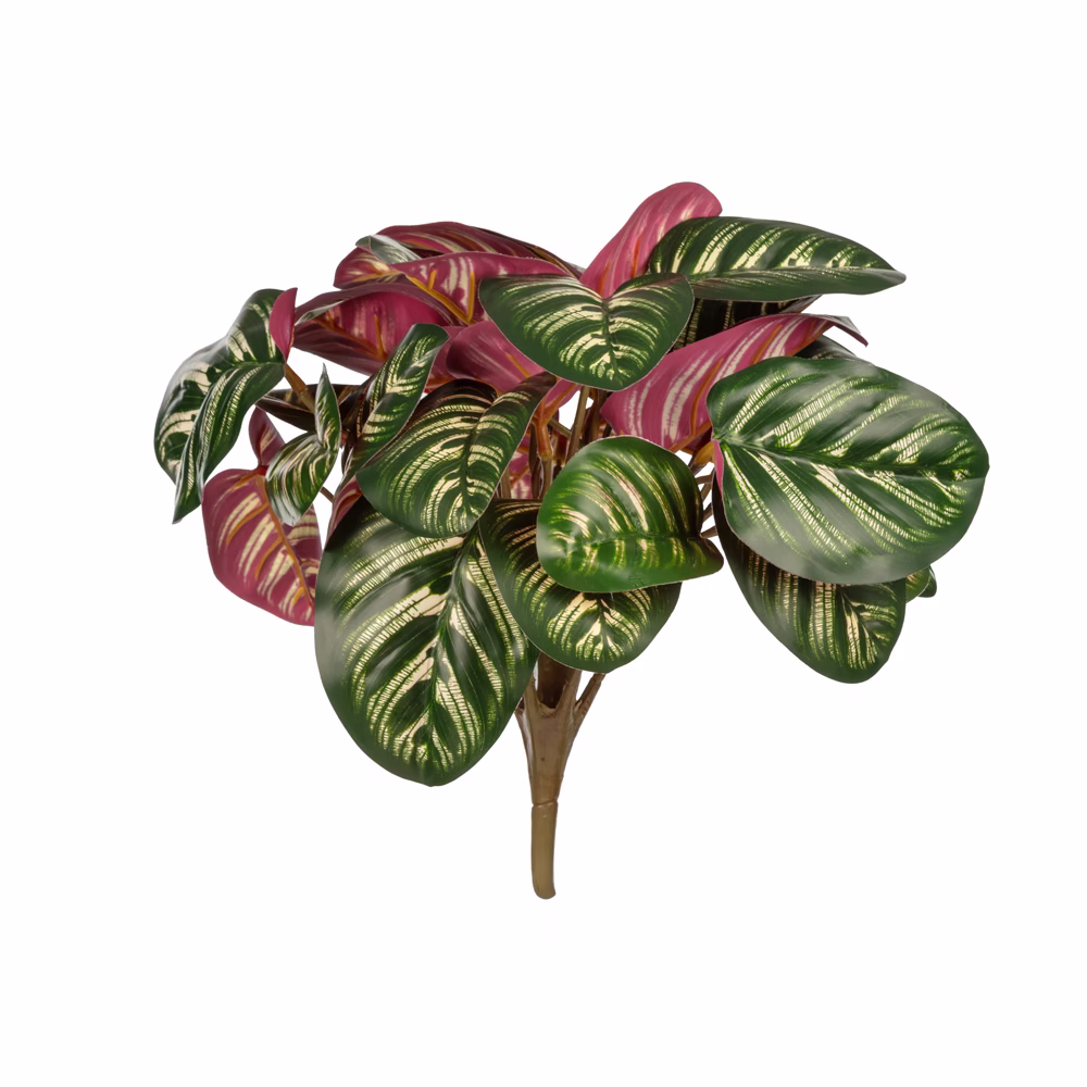 Yapay Calathea Roseopıcata Bush (28 CM)