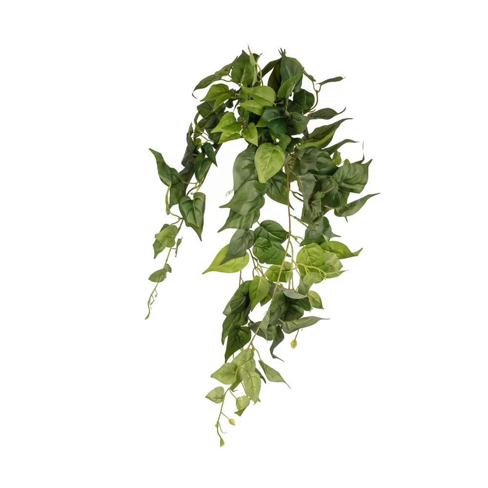 Pathos Hanging Bush (80 CM) Pathos Hanging Bush (80 CM)