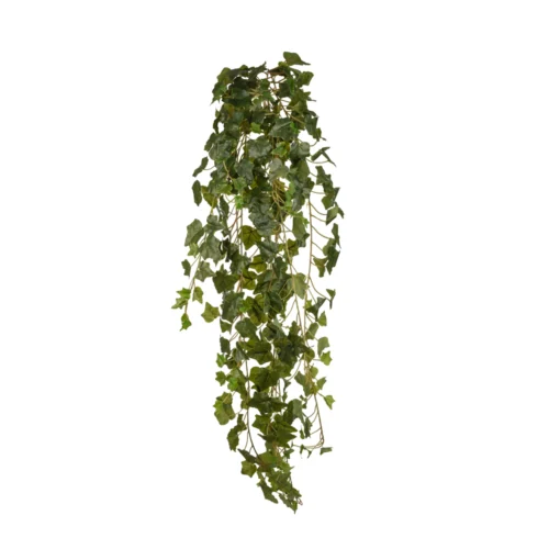Ivy Hanging Bush (120 CM)