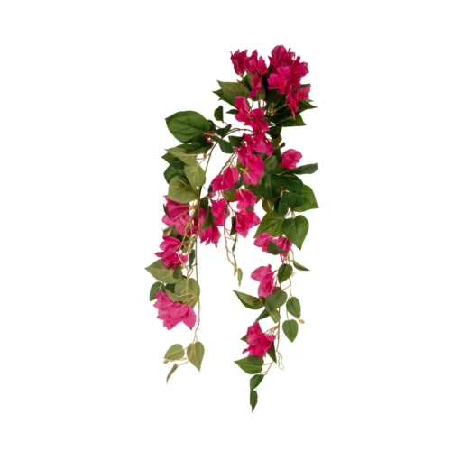 Bougainvillea Hanging Bush (80 CM)