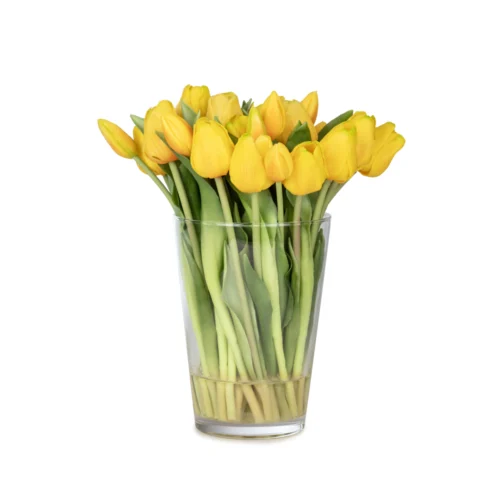Uzun Cam Vazoda Islak Dokulu Jelli Sarı Lale Aranjman (30 CM)