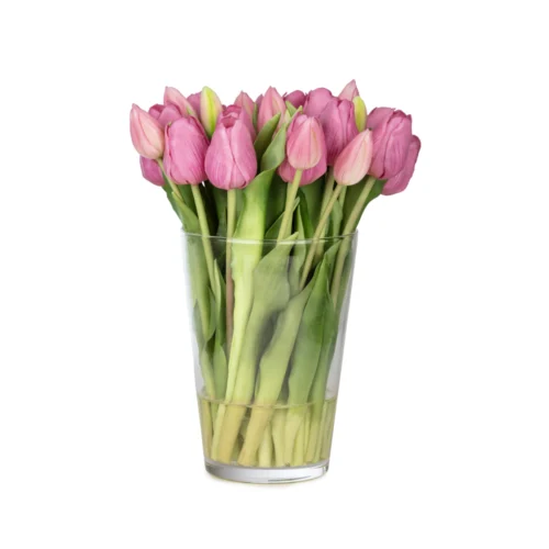 Uzun Cam Vazoda Islak Dokulu Jelli Mauve Lale Aranjman (30 CM)