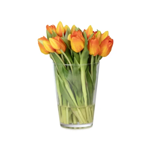 Cam Vazoda Islak Dokulu Jelli Turuncu Papatya Aranjman (30 CM) Uzun Cam Vazoda Islak Dokulu Jelli Turuncu Lale Aranjman (30 CM)