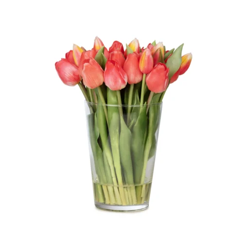 Uzun Cam Vazoda Islak Dokulu Jelli Coral Lale Aranjman (30 CM)