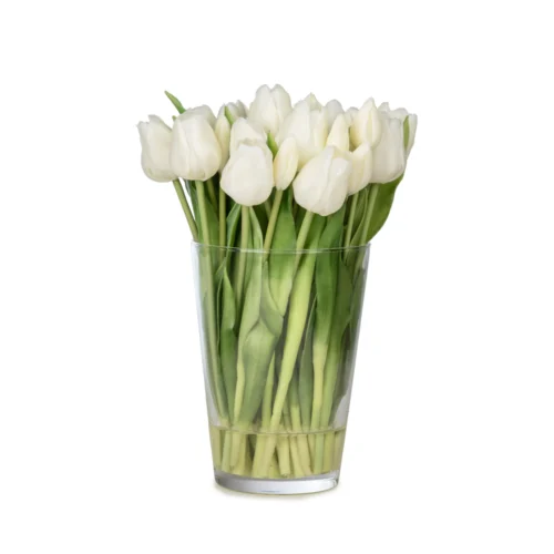 Cam Vazoda Islak Dokulu Jelli Beyaz Papatya Aranjman (30 CM) Uzun Cam Vazoda Islak Dokulu Jelli Beyaz Lale Aranjman (30 CM)
