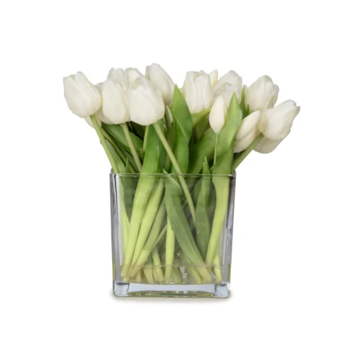 Büyük Kare Cam Vazoda Islak Dokulu Jelli Beyaz Lale Aranjman (27 CM)