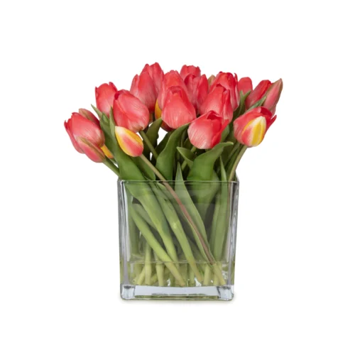 Büyük Kare Cam Vazoda Islak Dokulu Jelli Coral Lale Aranjman (27 CM)