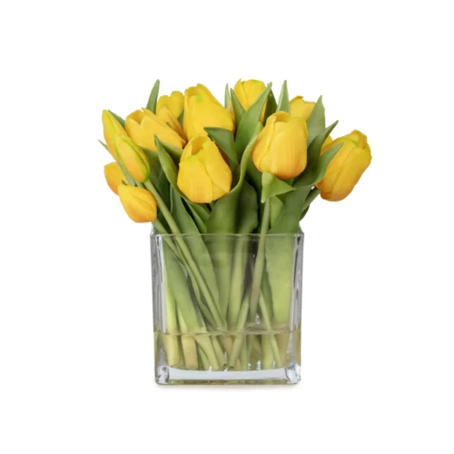 Orta Boy Kare Cam Vazoda Islak Dokulu Jelli Sarı Lale Aranjman (25 CM)