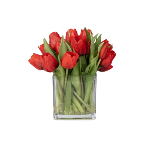 Orta Boy Kare Cam Vazoda Islak Dokulu Jelli Kırmızı Lale Aranjman (25 CM)