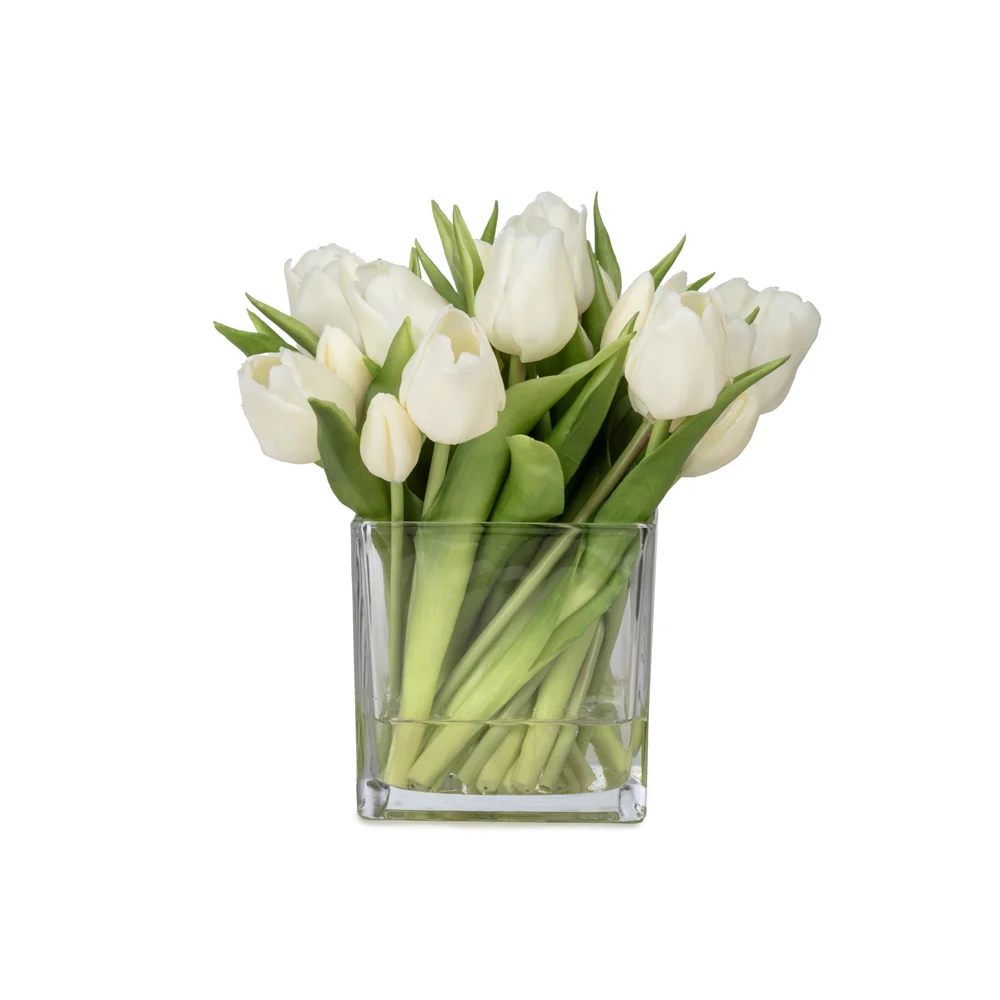 Orta Boy Kare Cam Vazoda Islak Dokulu Jelli Beyaz Lale Aranjman (25 CM) Orta Boy Kare Cam Vazoda Islak Dokulu Jelli Beyaz Lale Aranjman (25 CM)