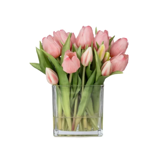 Orta Boy Kare Cam Vazoda Islak Dokulu Jelli Pembe Lale Aranjman (25 CM)