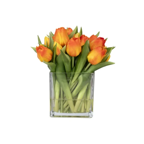 Orta Boy Kare Cam Vazoda Islak Dokulu Jelli Turuncu Lale Aranjman (25 CM)