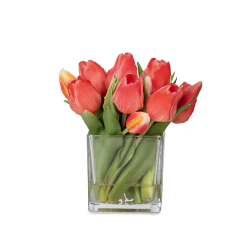 Küçük Boy Kare Cam Vazoda Islak Dokulu Jelli Coral Lale Aranjman (20 CM)