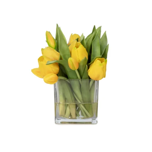 Küçük Boy Kare Cam Vazoda Islak Dokulu Jelli Sarı Lale Aranjman (20 CM)