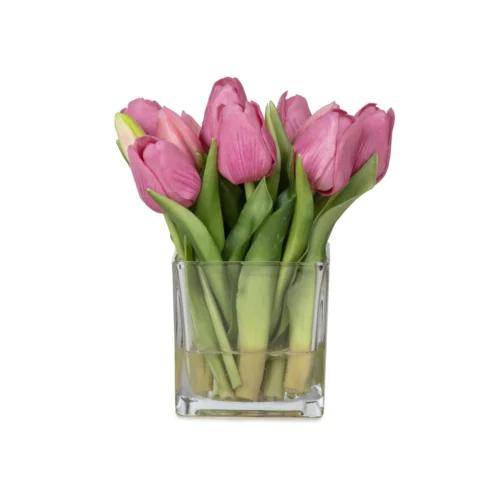 Küçük Boy Kare Cam Vazoda Islak Dokulu Jelli Mauve Lale Aranjman (20 CM)