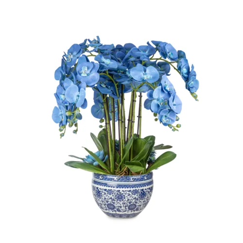 Bleu Blanc Vazoda Islak Dokulu Mavi Orkide Aranjman (70 CM)