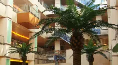 Canberra 240 cm - Karlı Yılbaşı Ağacı Canberra 240 cm - Karlı Yılbaşı Ağacı