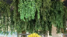 Canberra 240 cm - Karlı Yılbaşı Ağacı Canberra 240 cm - Karlı Yılbaşı Ağacı