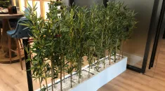 Canberra 240 cm - Karlı Yılbaşı Ağacı Canberra 240 cm - Karlı Yılbaşı Ağacı