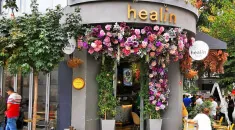 Canberra 240 cm - Karlı Yılbaşı Ağacı Canberra 240 cm - Karlı Yılbaşı Ağacı