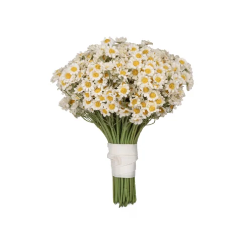 Mini Papatya Gelin Buketi (25 CM) Mini Papatya Gelin Buketi (25 CM)