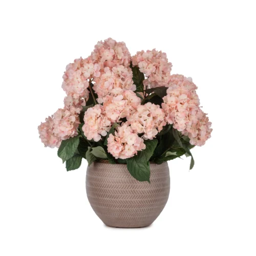 Beton Saksıda Pembe Ortanca Aranjman (53 CM)