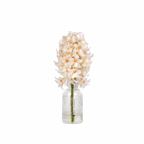 Mini Jelli Sümbül Aranjman (24 CM)