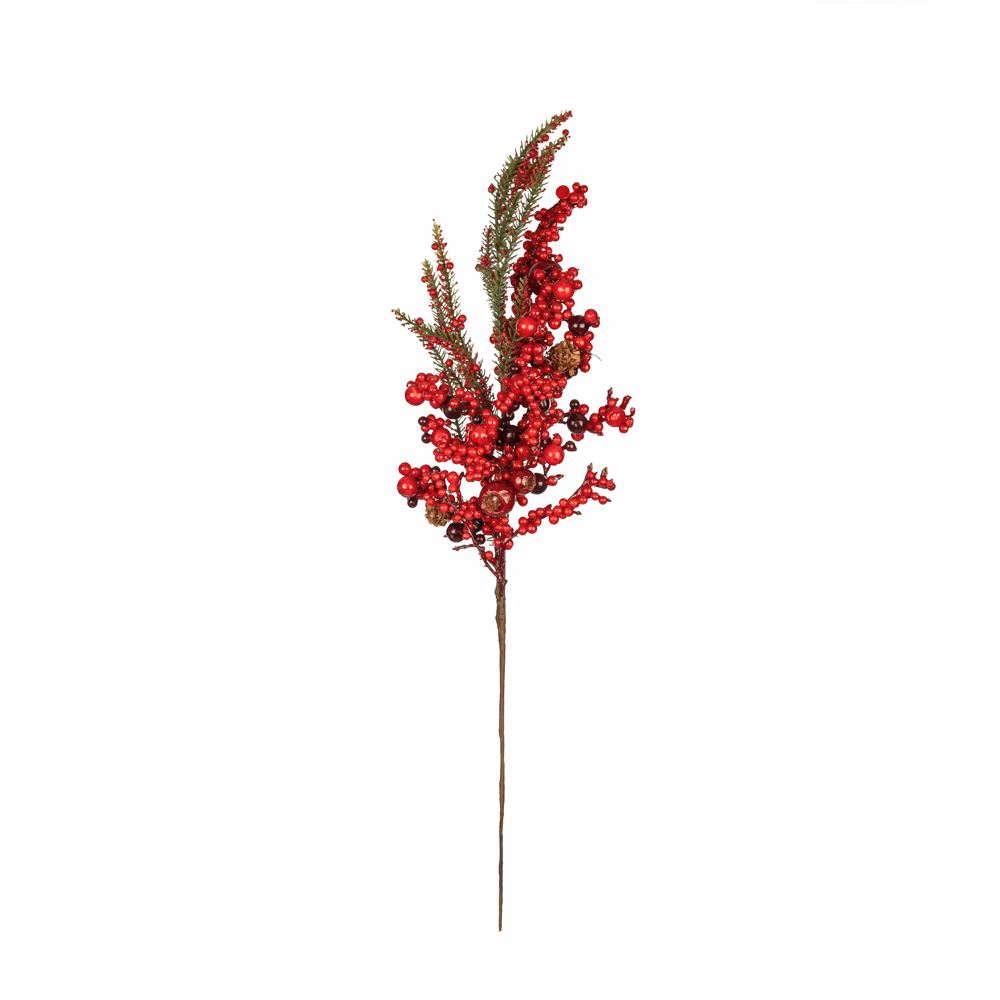 Aradal Berry (68 CM)