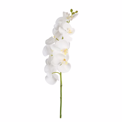 Islak Dokulu Phalaenopsis Orkide (31 CM)