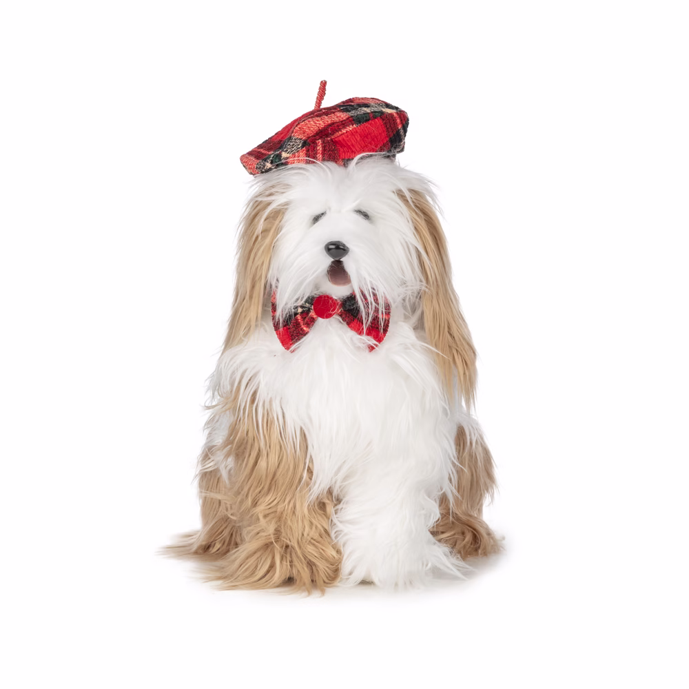 Yılbaşı Aksesuarı Köpek (50 CM)